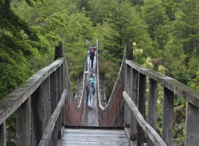 Transfer al Parque Nacional Queulat (desde Puyuhuapi)