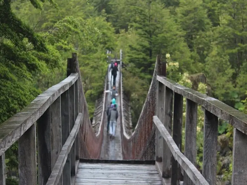 Transfer al Parque Nacional Queulat (desde Puyuhuapi)
