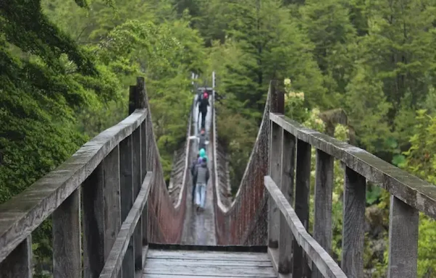 Paseo en bote Parque Nacional Queulat