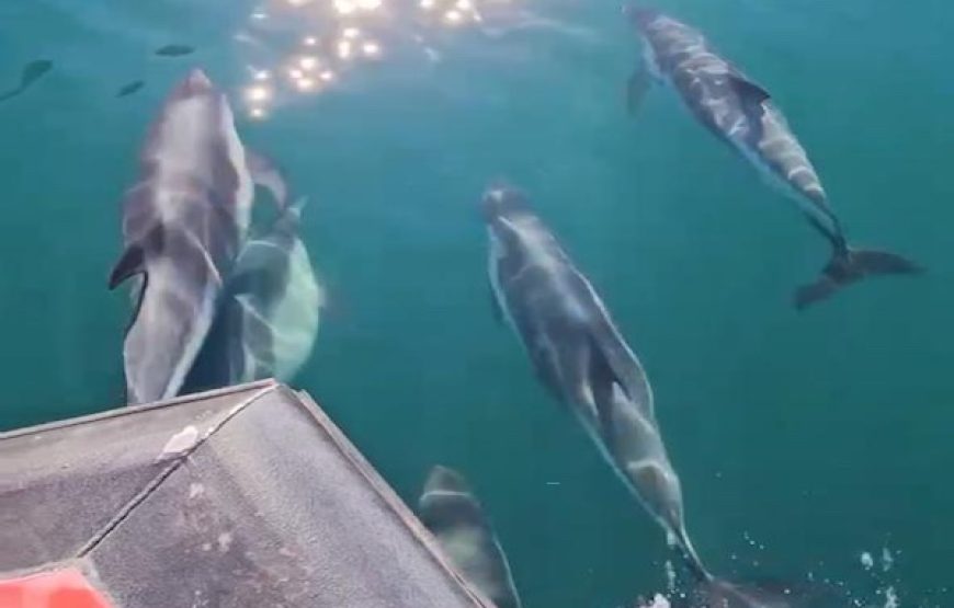 Safari náutico fiordo Puyuhuapi