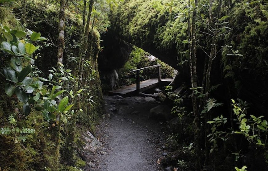 Paseo en bote Parque Nacional Queulat