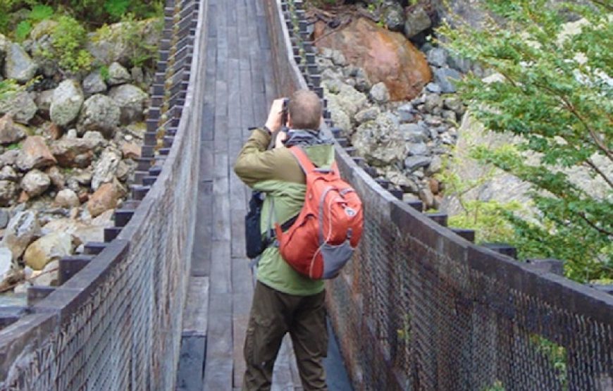 Transfer al Parque Nacional Queulat (desde Puyuhuapi)