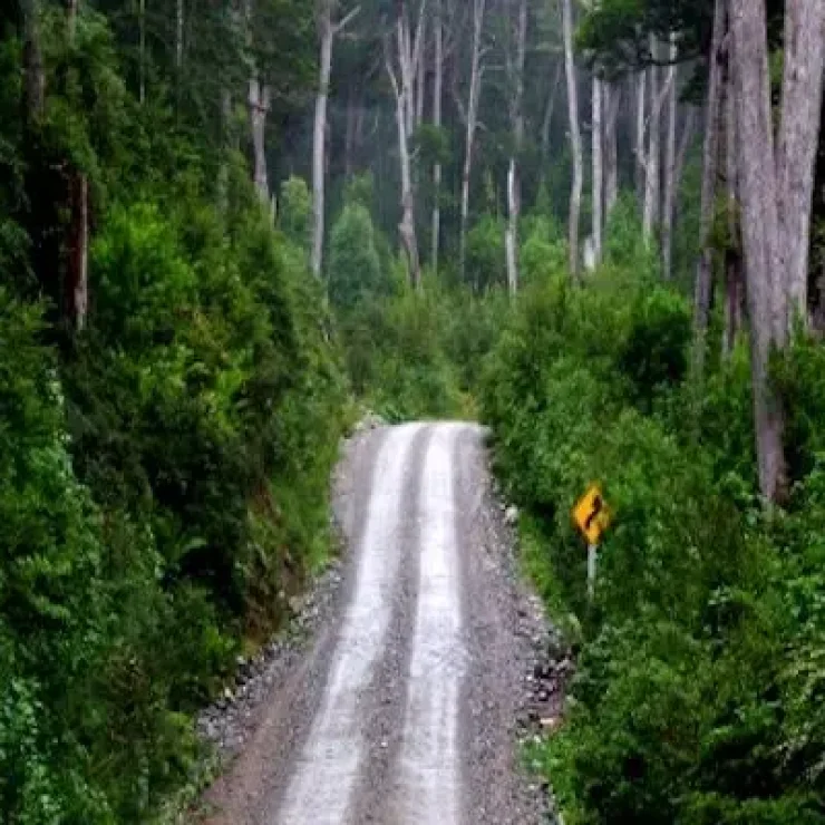 Guía de viaje para recorrer la Carretera Austral desde Puyuhuapi