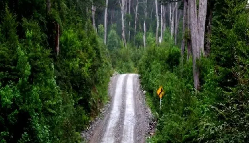 Guía de viaje para recorrer la Carretera Austral desde Puyuhuapi